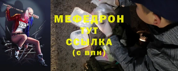 индика Устюжна
