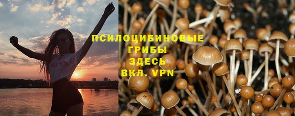 герыч Арсеньев