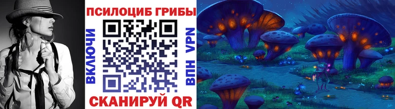 Галлюциногенные грибы Psilocybe  KRAKEN зеркало  Бахчисарай 